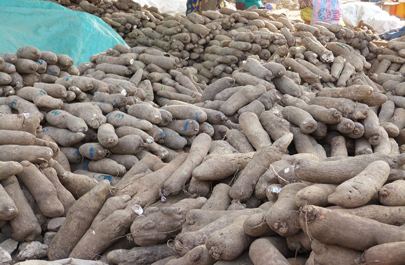 Yam