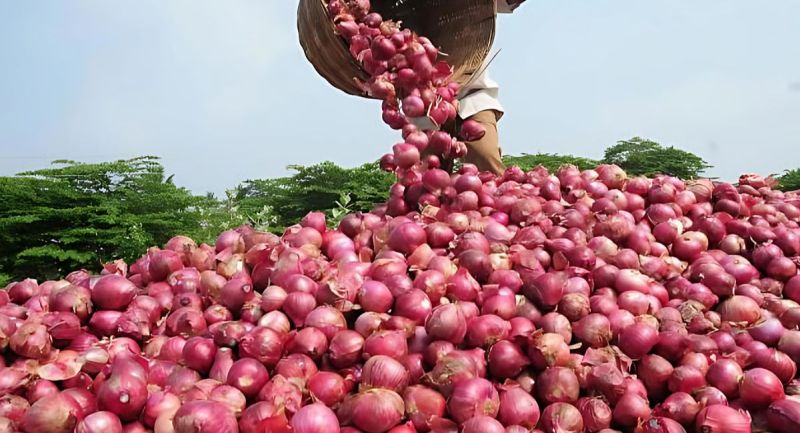 Onions